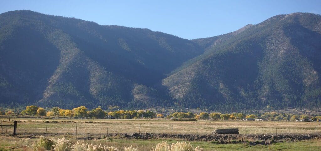 Fall color near Genoa